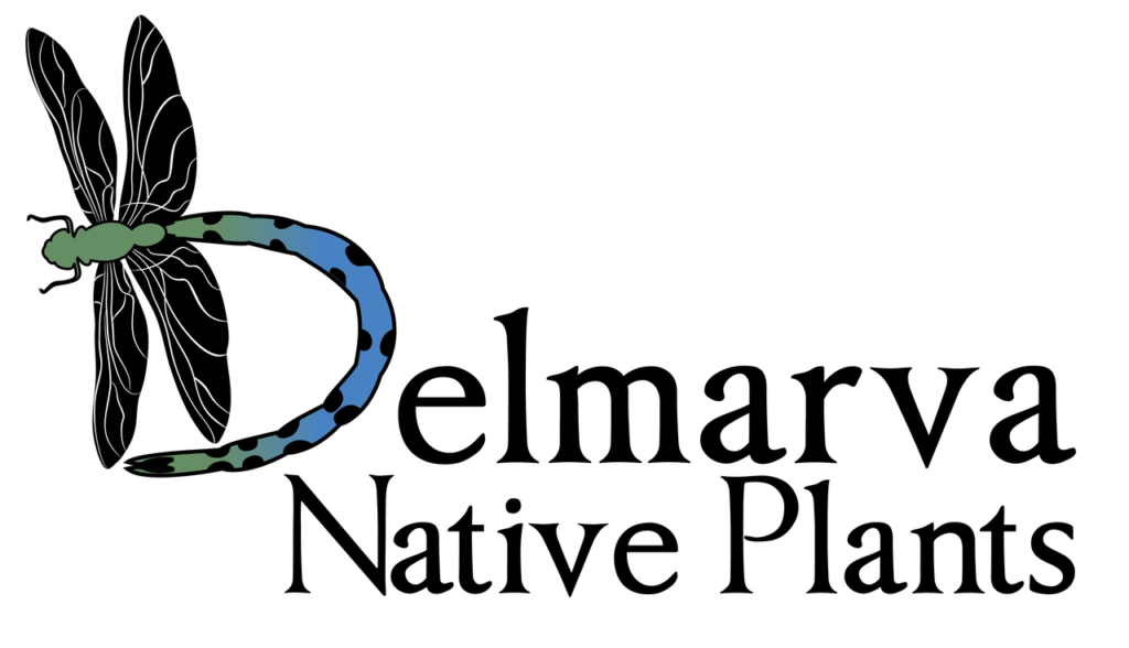 Delmarva Native Plants